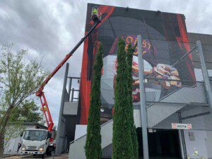 Palfinger cherry picker