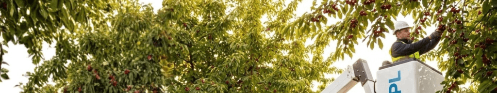 what-is-a-cherry-picker-Access-platform-blog-